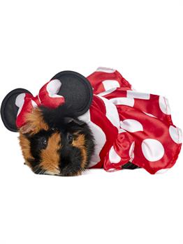Minnie Mouse Small Pet Costume 