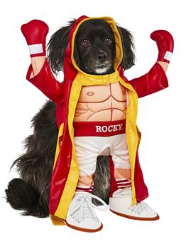 Rocky Pet Costume 