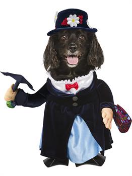 Mary Poppins Pet Costume 