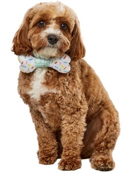 Party Collar Bow-Ne Pet Accessory 