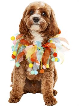 Pom Party Collar Pet Accessory 