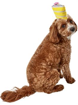 Birthday Cake Slice Hat Pet Accessory 