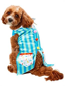 Birthday Stripe Vest Pet Costume 