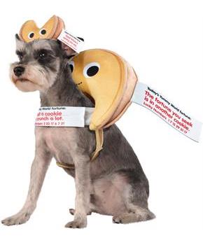 Yummy World Fortune Cookie Pet Costume