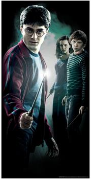 Harry Potter Harry Door Cover