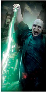Harry Potter Voldemort Door Cover