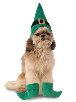 Elf Kit for Pets (M-L)