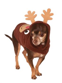 Big Dog's Reindeer Hoodie for Pets
