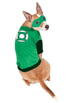 Green Lantern Pet Costume