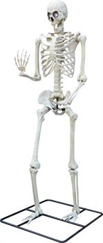 10 Ft. Standing Titan Light Up Skeleton