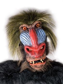 Adult Baboon Mask