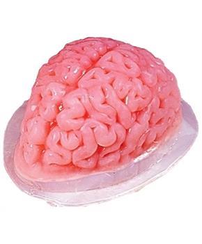 9-inch Brain Shaped Plastic Gelatin Mold