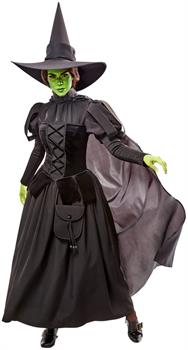 Women's The Wizard of Oz Wicked Witch Costume - Deluxe