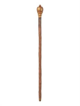 Adult Wonka Movie Willy Wonka Walking Cane
