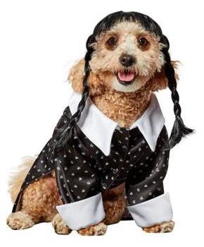 Wednesday Addams Pet Costume