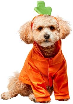 Carrot Hoodie Pet Costume