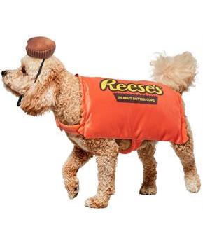 Reese's Peanut Butter Cup Pet Costume