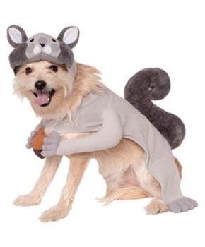 Pet Squirrel Costume