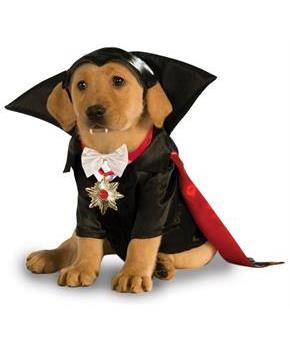 Pet Dracula Costume