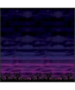 Spooky Sky Backdrop