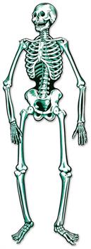 Jointed Skeleton