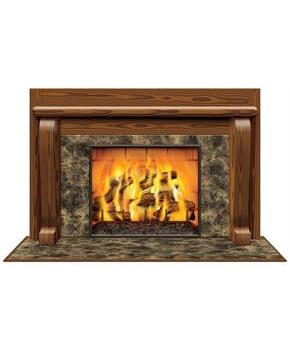 Fireplace Insta-View