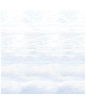 Snowscape Backdrop