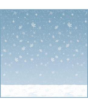 Winter Sky Backdrop