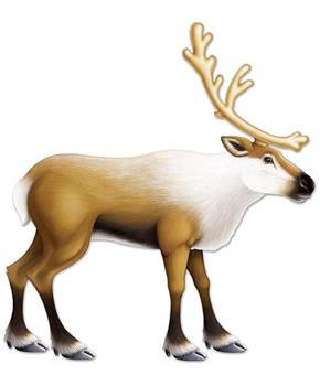 Jointed Reindeer