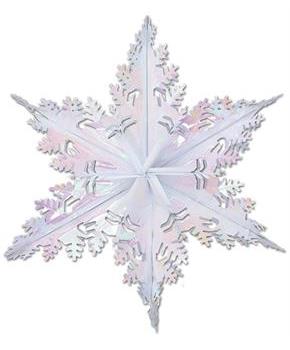 Metallic Winter Snowflake