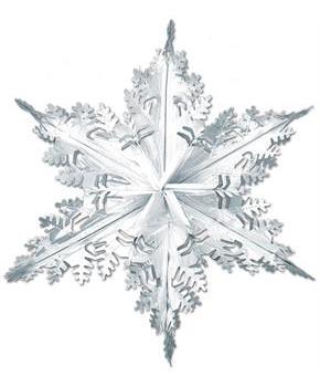 Metallic Winter Snowflake