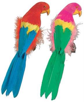 Tropical Parrots
