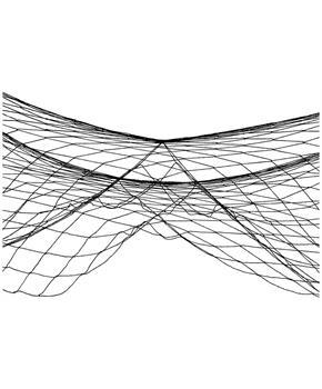 Fish Netting