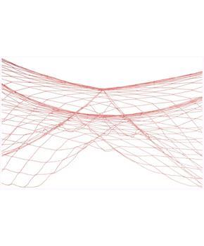 Fish Netting