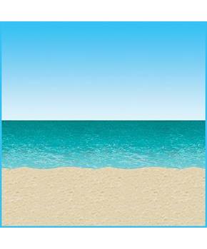 Ocean & Beach Backdrop