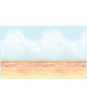 Desert Sky & Sand Backdrop
