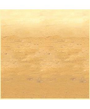 Desert Sand Backdrop