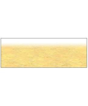 Ocean Floor Border