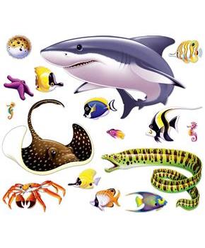 Marine Life Props