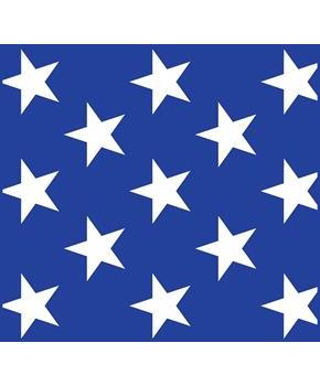 Patriotic Stars Backdrop