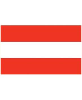 Patriotic Stripes Backdrop