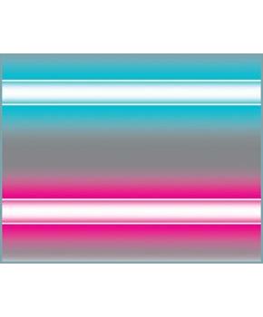 Neon Border