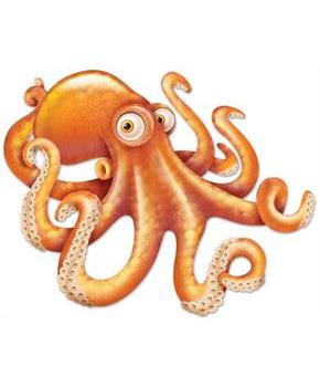 Jointed Octopus