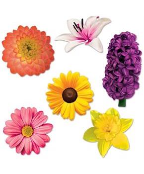 Flower Cutouts