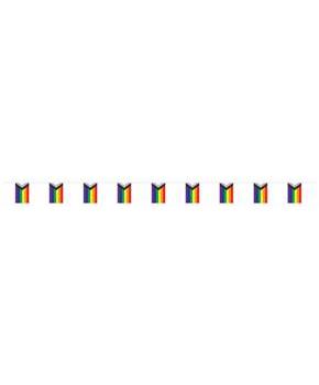 Pride Flag Pennant Banner