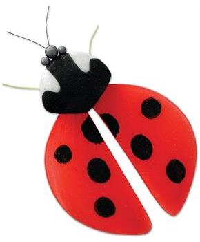 Ladybug