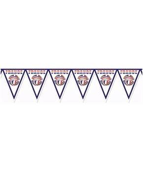 Pennant Banner - France