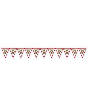 Pennant Banner - Mexico