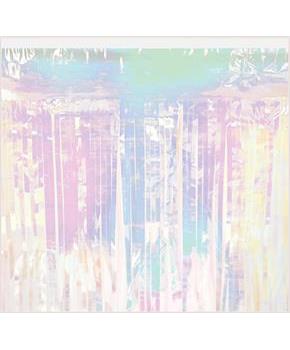 Pkgd 1-Ply Metallic Fringe Drape