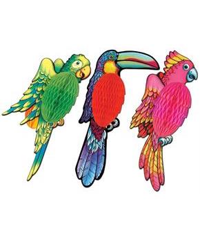 Tissue Exotic Birds